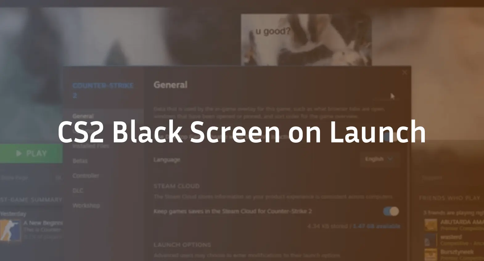 cs2 black screen on launch