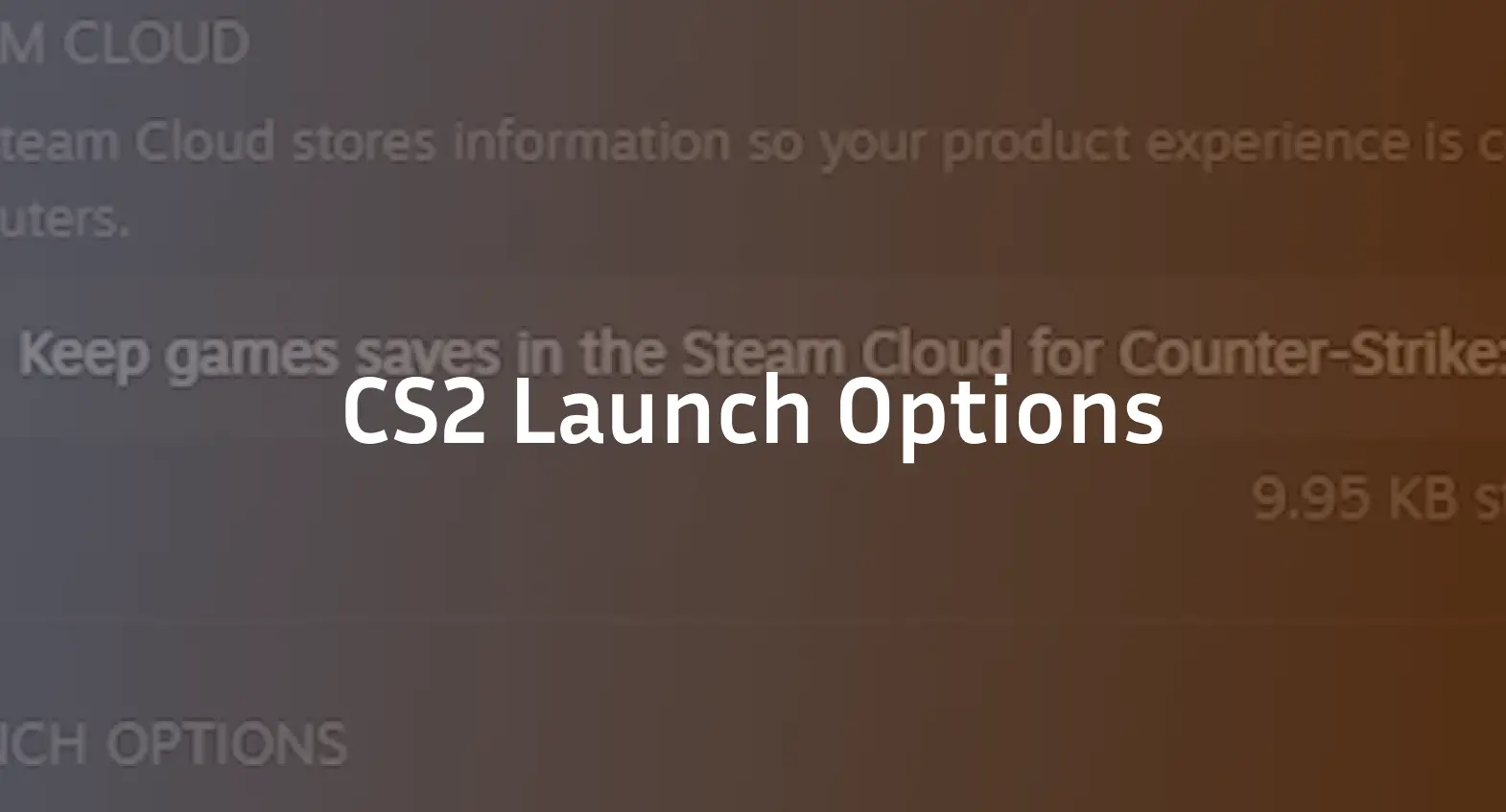 cs2 launch options