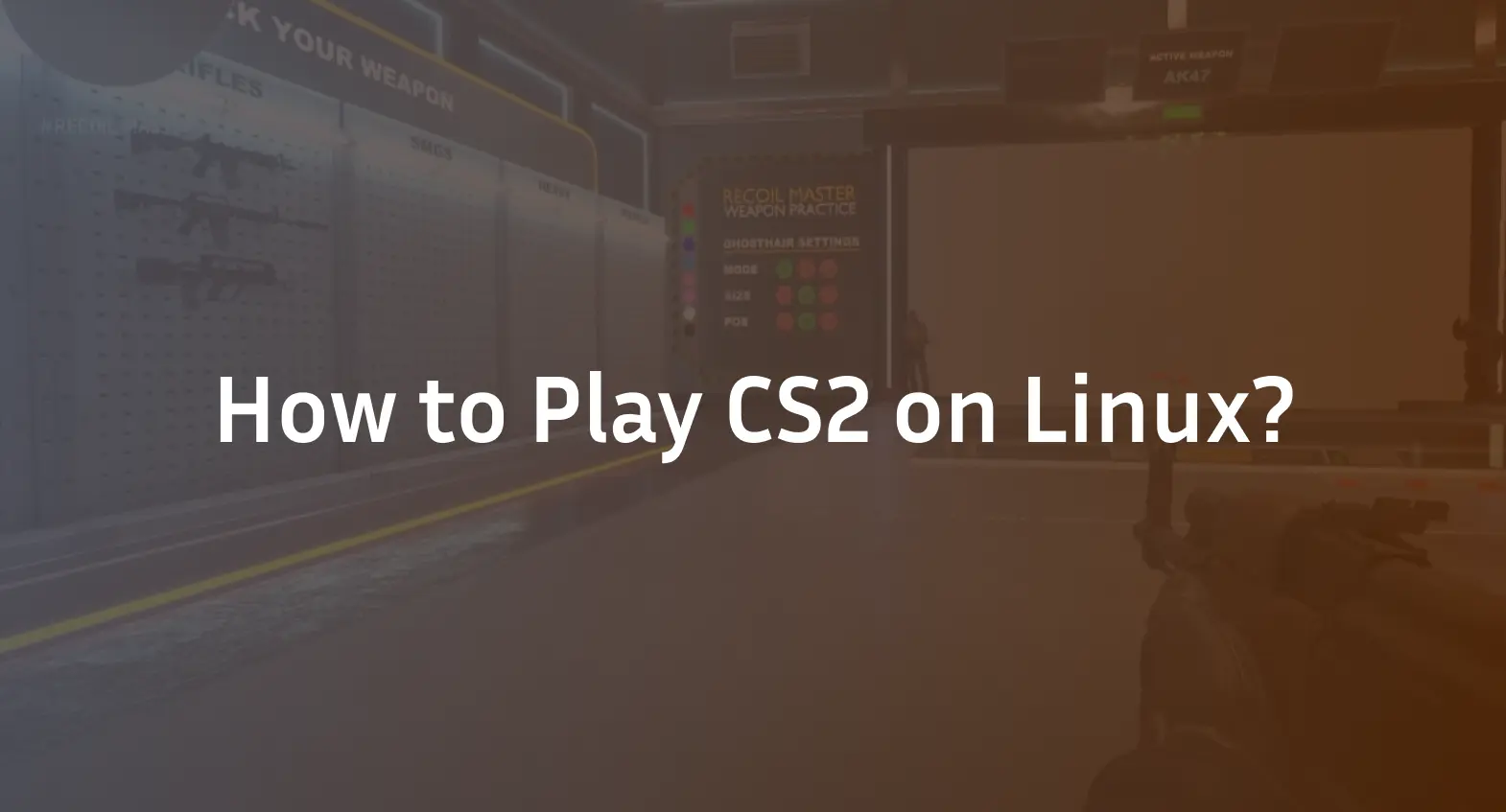How to Play CS2 on Linux?