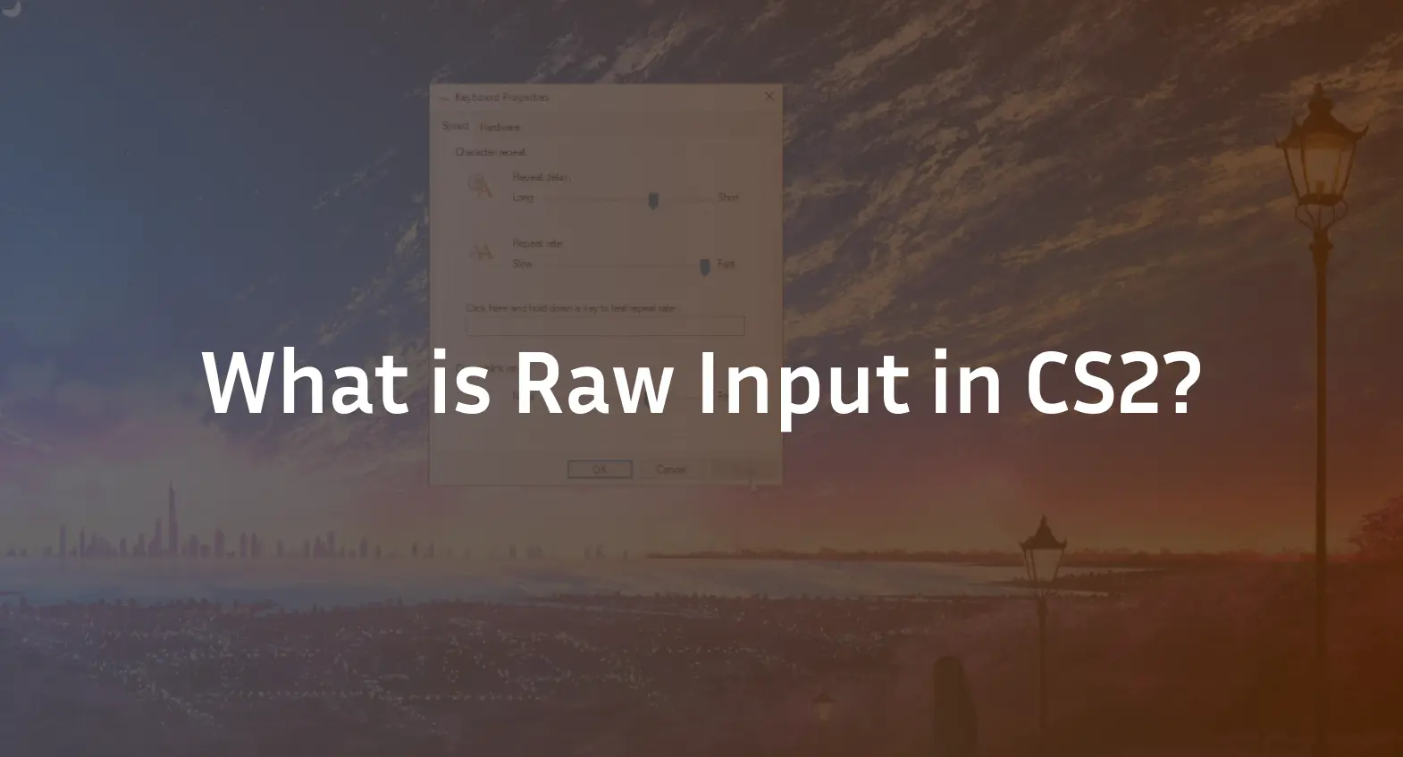 cs2 raw input