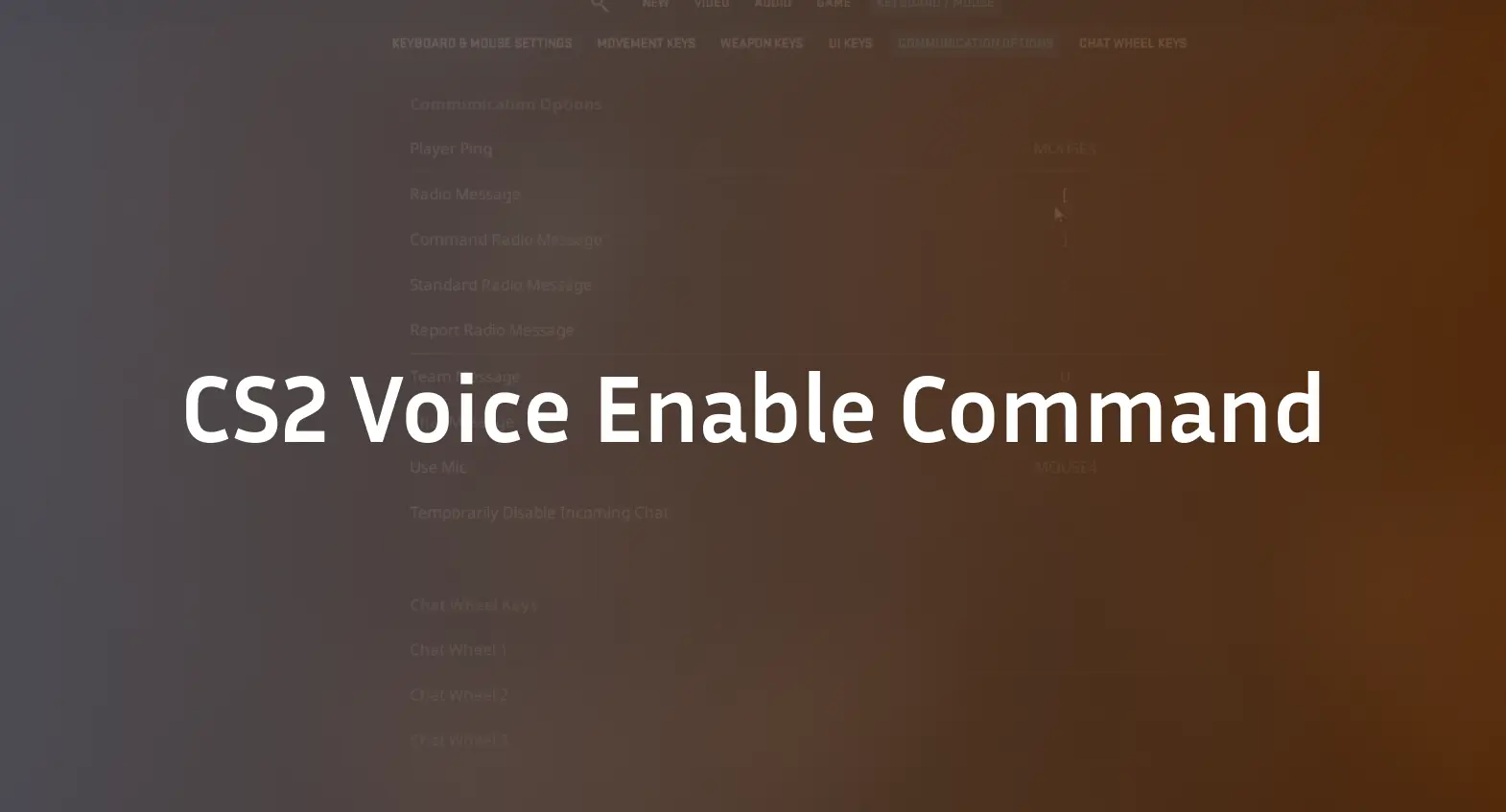 CS2 Voice Enable Command