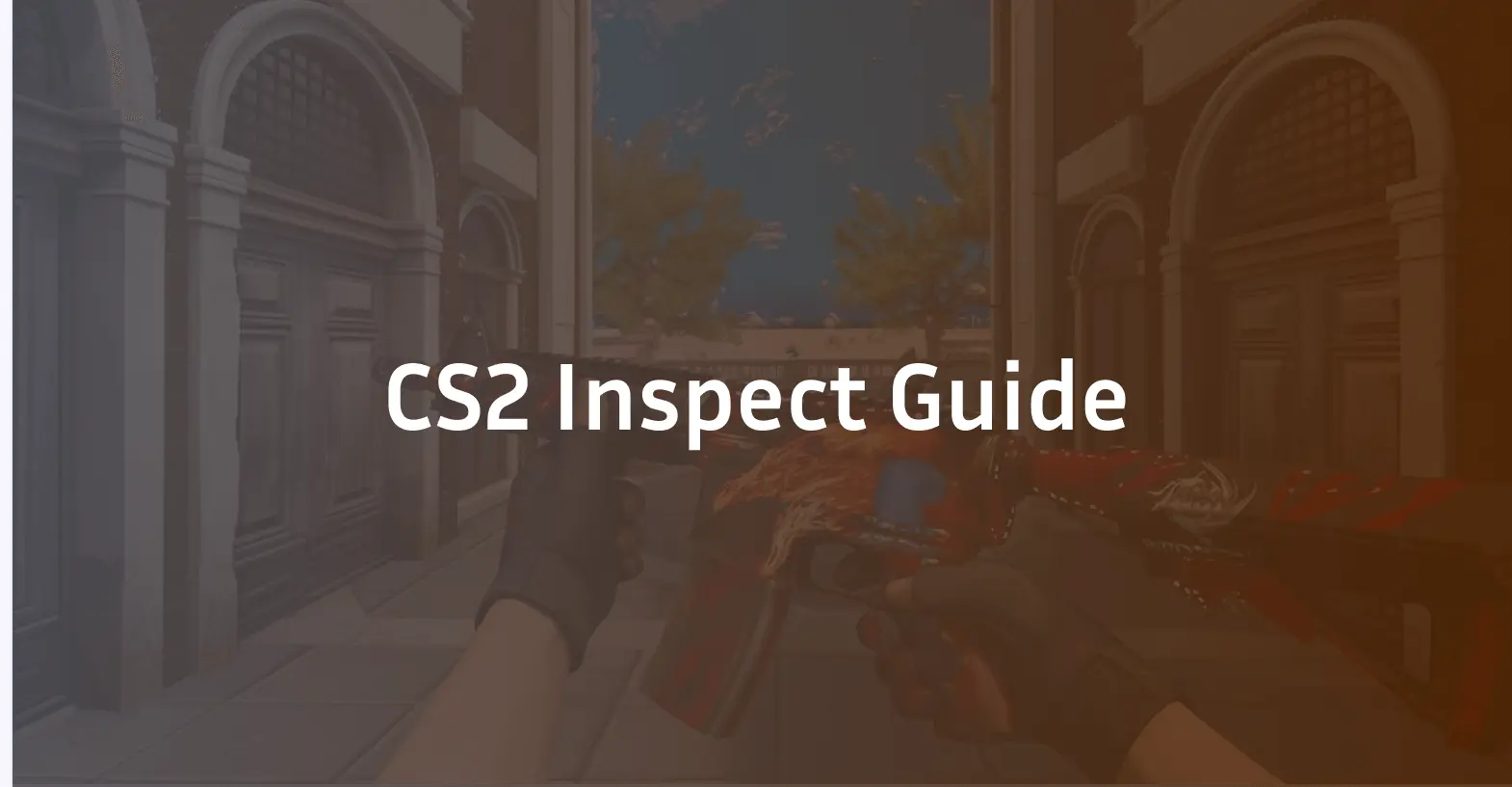 CS2 Inspect Guide