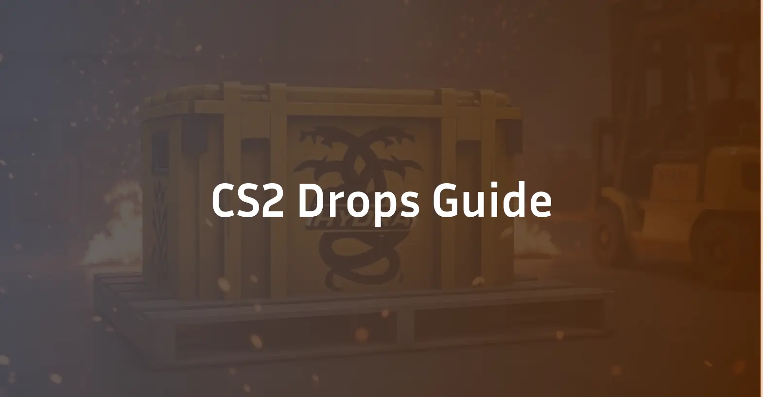 CS2 Drops Guide