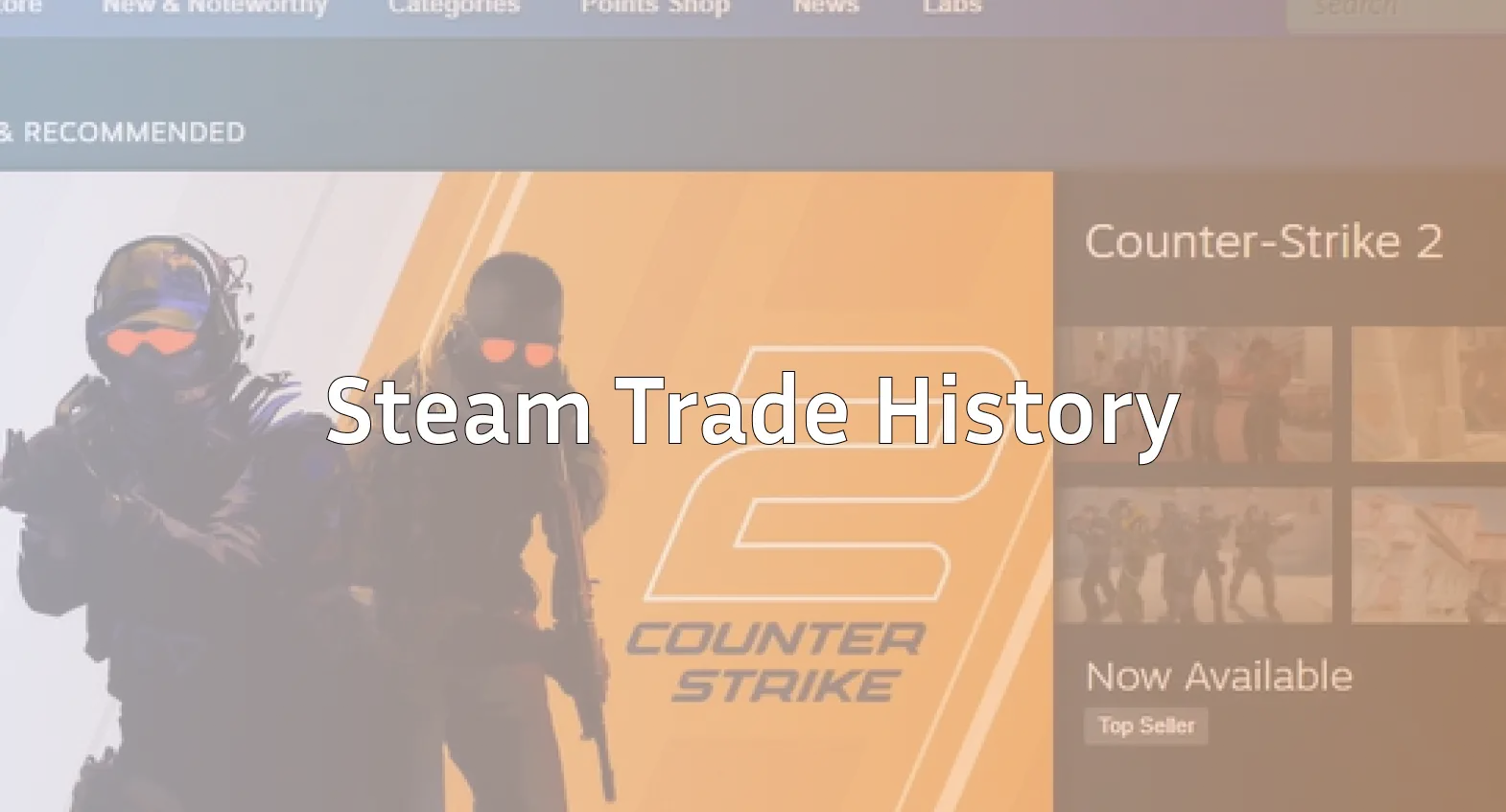 how to check steam trade history