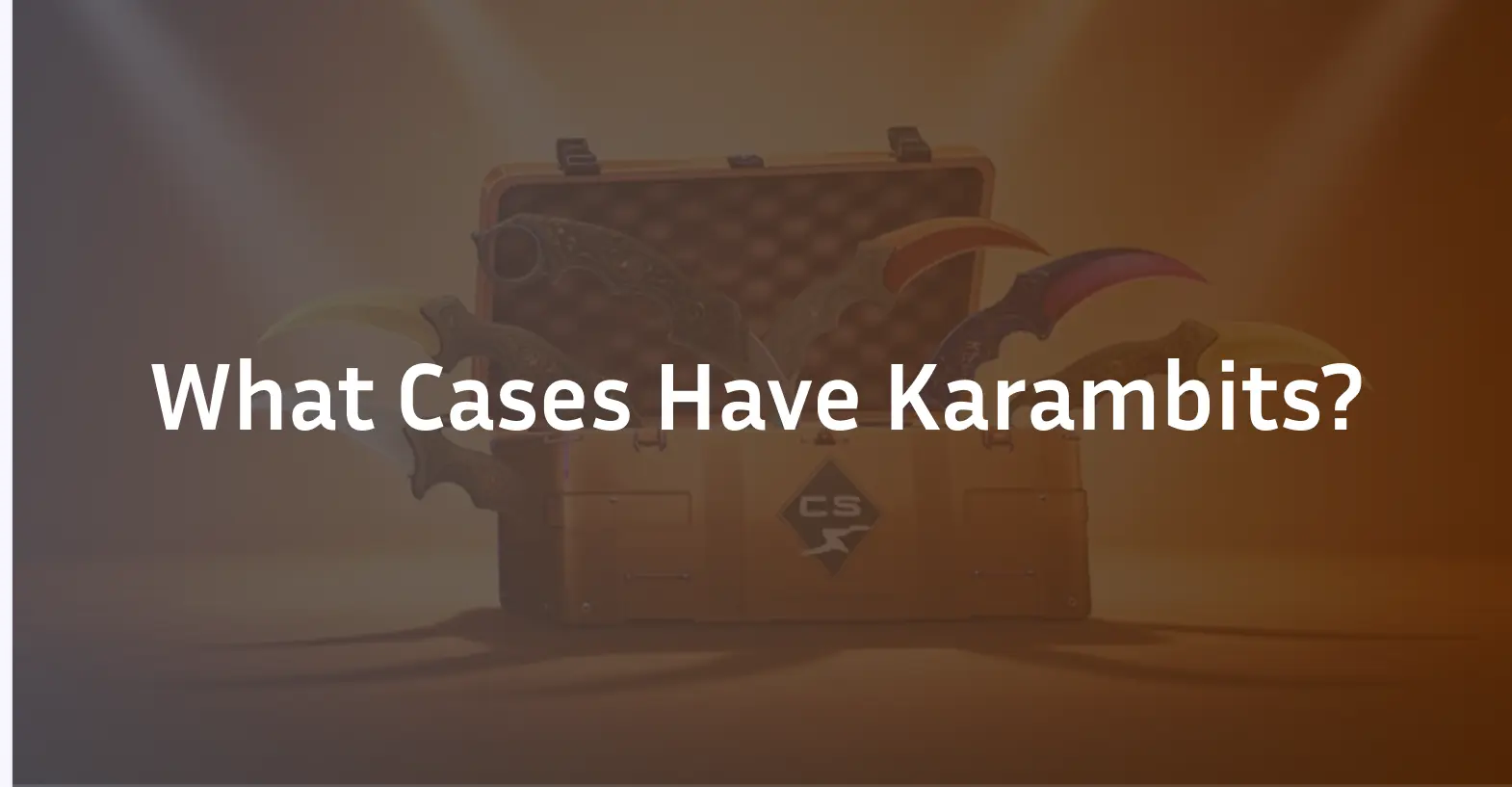 What cases have Karambits?