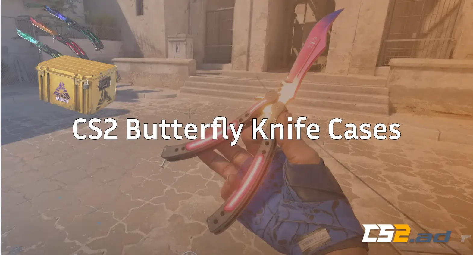cs2 butterfly knife cases
