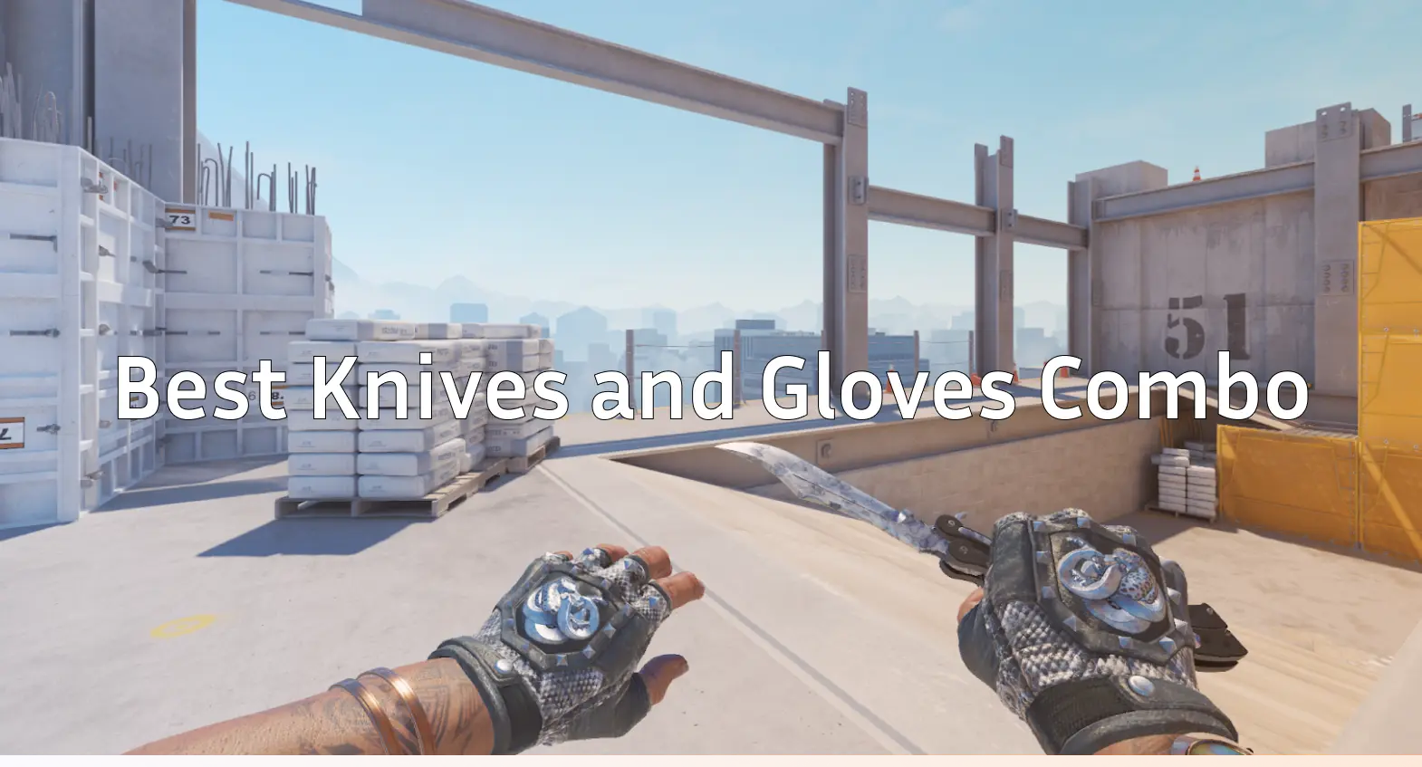 best-knives-and-gloves-combo