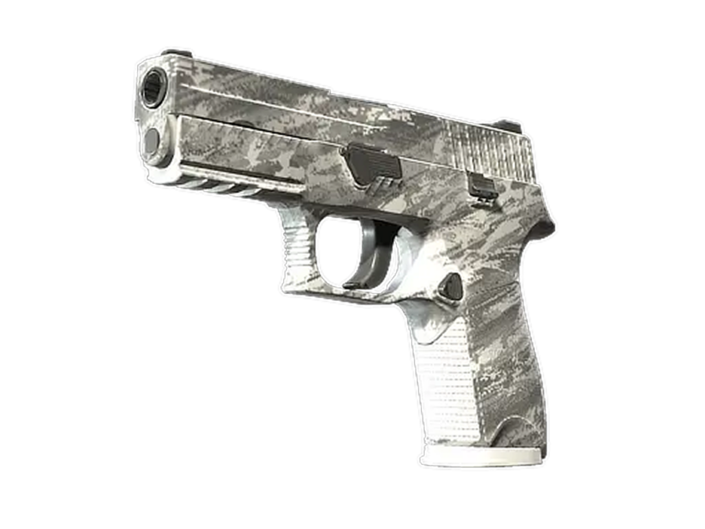 P250 | Sleet