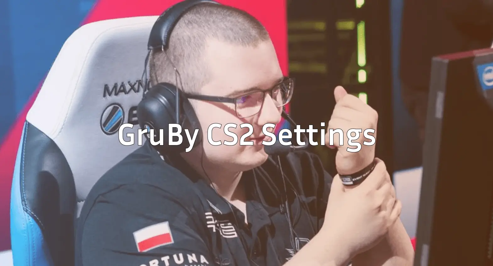 GruBy CS2 Profile: Settings, Career & Analyst Role