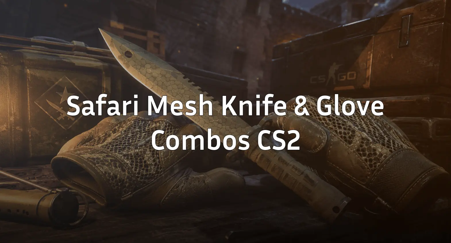 Best Safari Mesh Knife and Glove Combos in CS2