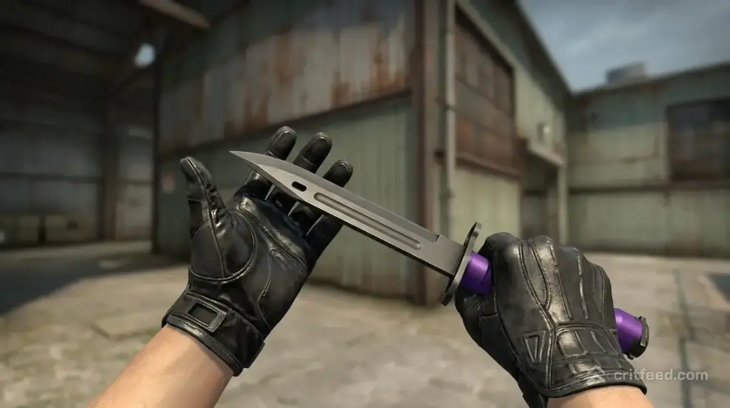 Bayonet  Ultraviolet + Sport Gloves  Nocts