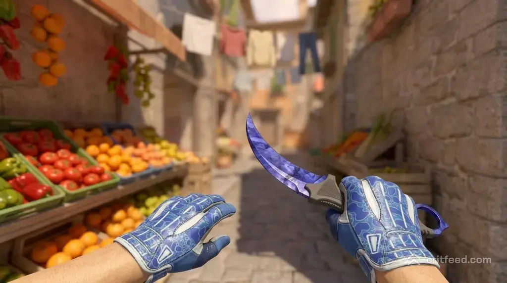 Karambit  Doppler Phase 4 + Amphibious