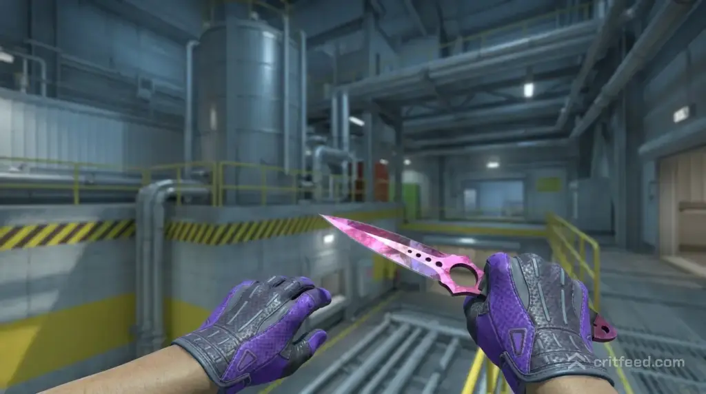 Skeleton Knife  Doppler (Phase 2) + Sport Gloves  Pandora’s Box