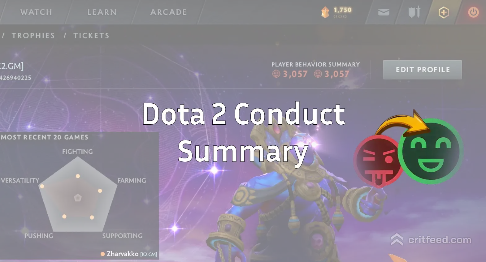 Dota 2 Conduct Summary Review: A System That Needs Upgrades