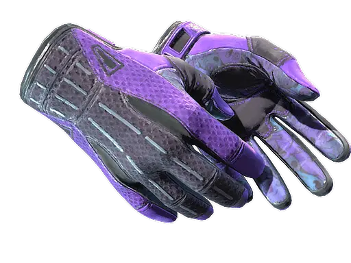 ★ Sport Gloves | Pandora's Box
