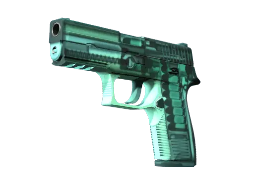 P250 | X-Ray