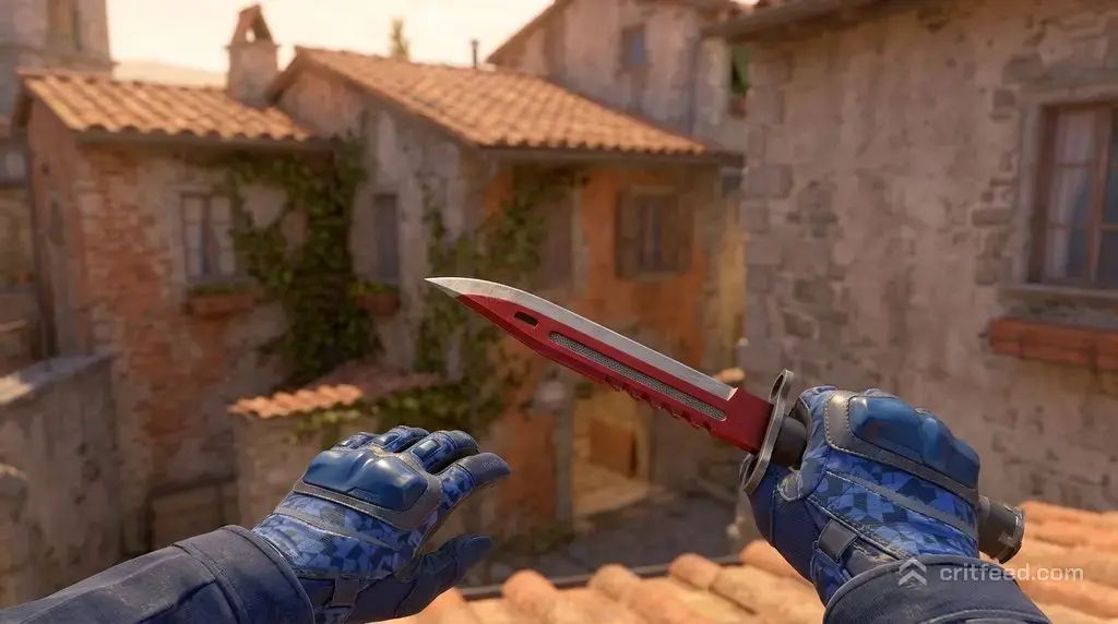 Bayonet Autotronic + Polygon Gloves