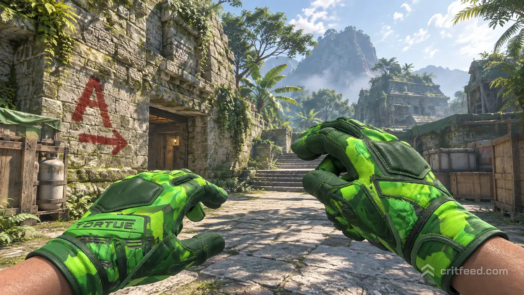 Best Lime Polycam Gloves Knife Combos in CS2