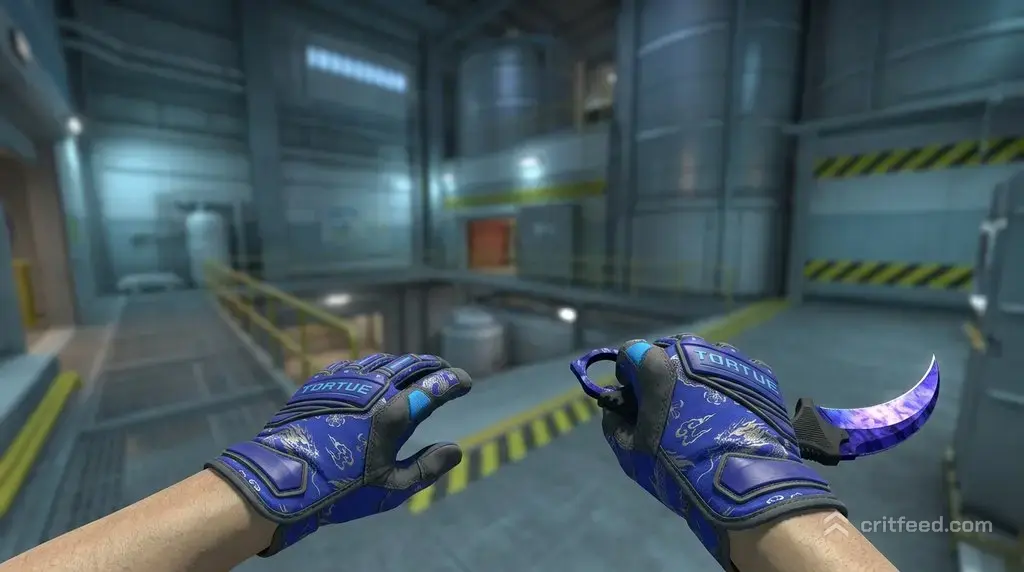 Karambit Doppler Sapphire + Cloud Chaser