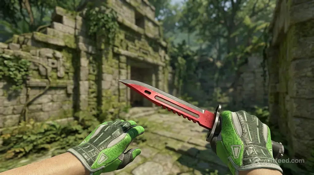 Bayonet Autotronic + Hedge Maze