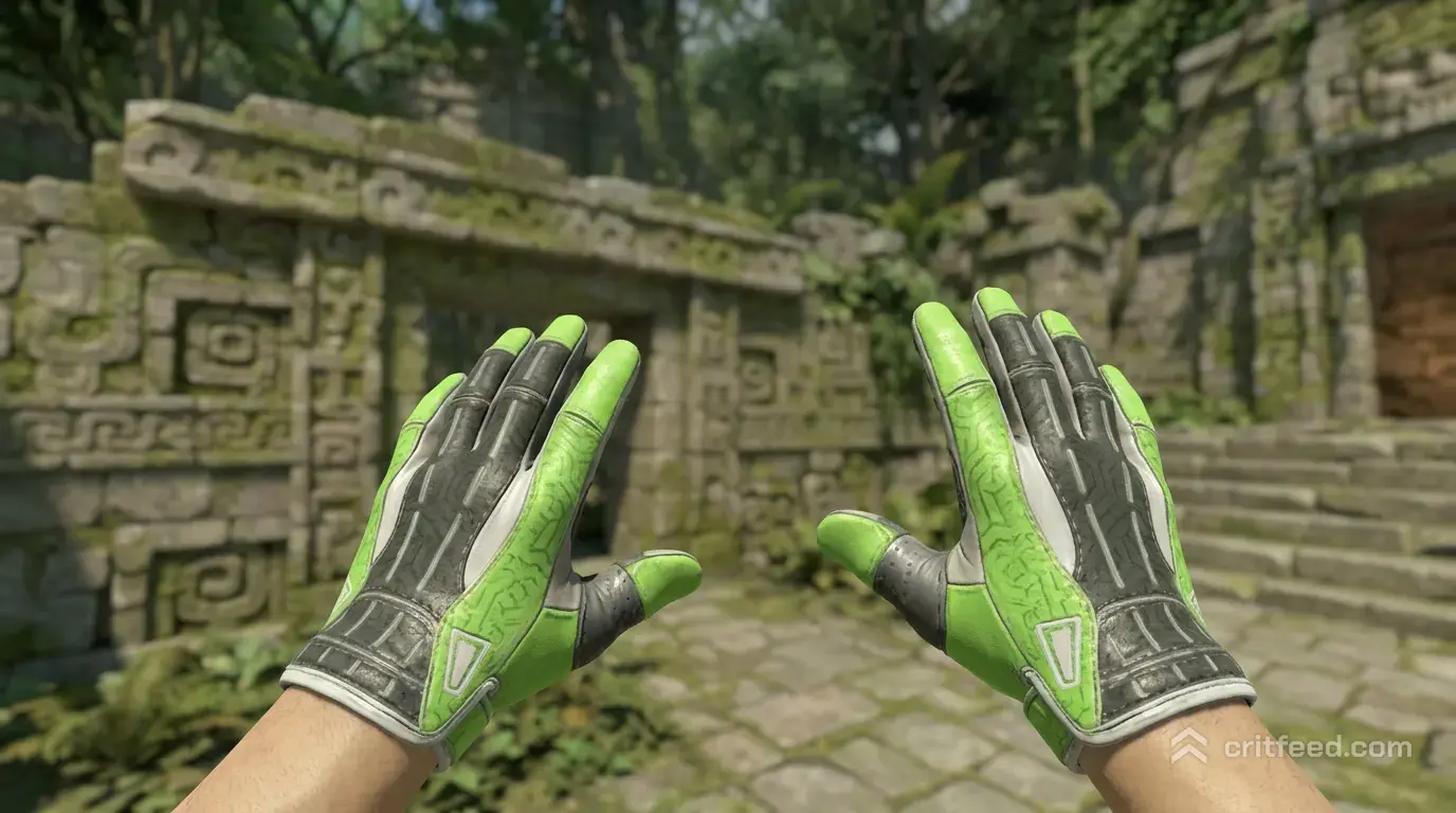 Best Hedge Maze Gloves Knife Combos in CS2 (2026)